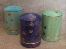 Load image into Gallery viewer, Urn KOKIA