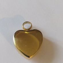 Load image into Gallery viewer, Pendentif Cendre : COEUR GOLDA - photo 3
