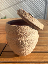 Load image into Gallery viewer, urne bio pour animaux
