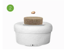 Load image into Gallery viewer, urne bios etapes
