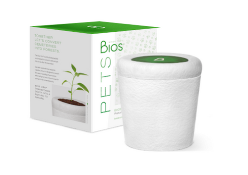 urne bios pour animaux