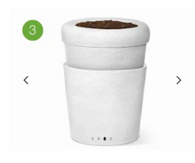 Load image into Gallery viewer, urne cineraire bios
