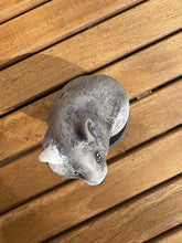 Load image into Gallery viewer, urne pour hamster vue du dessus
